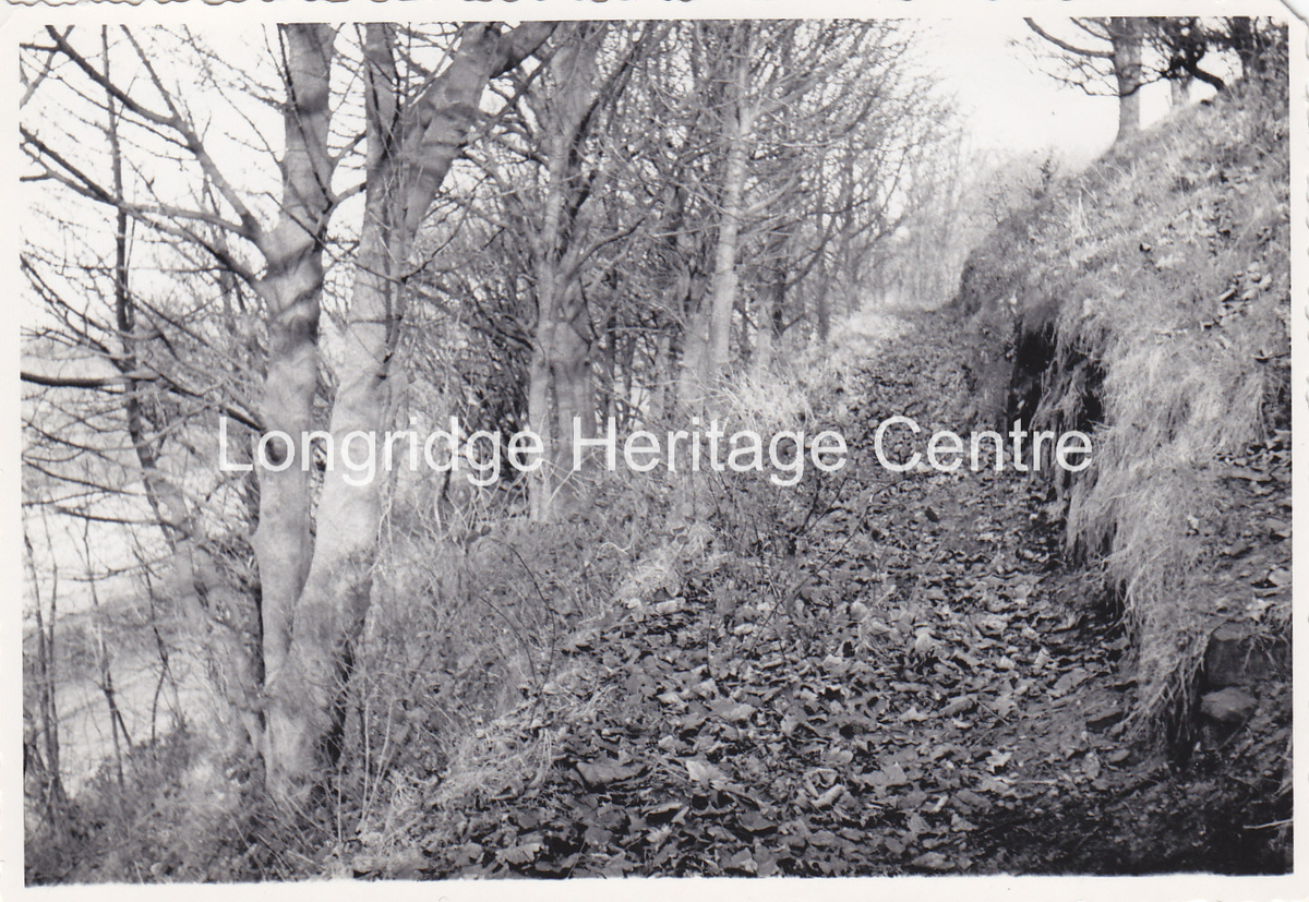 672B - Higher Road - Terrace footpath on Tootle Heights - 1970